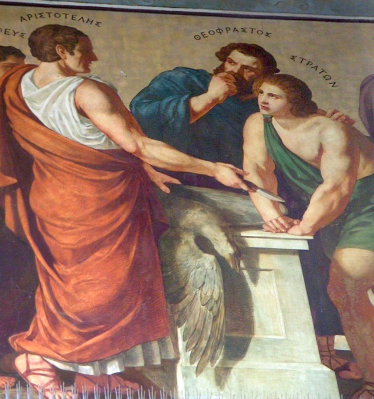 Teofrasto (370-287 a. C.)